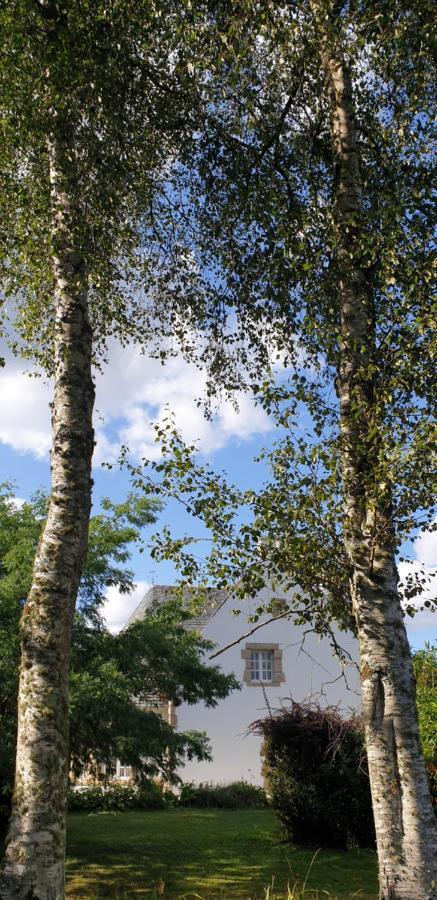 Le Faouët Crown Roads B&B 외부 사진