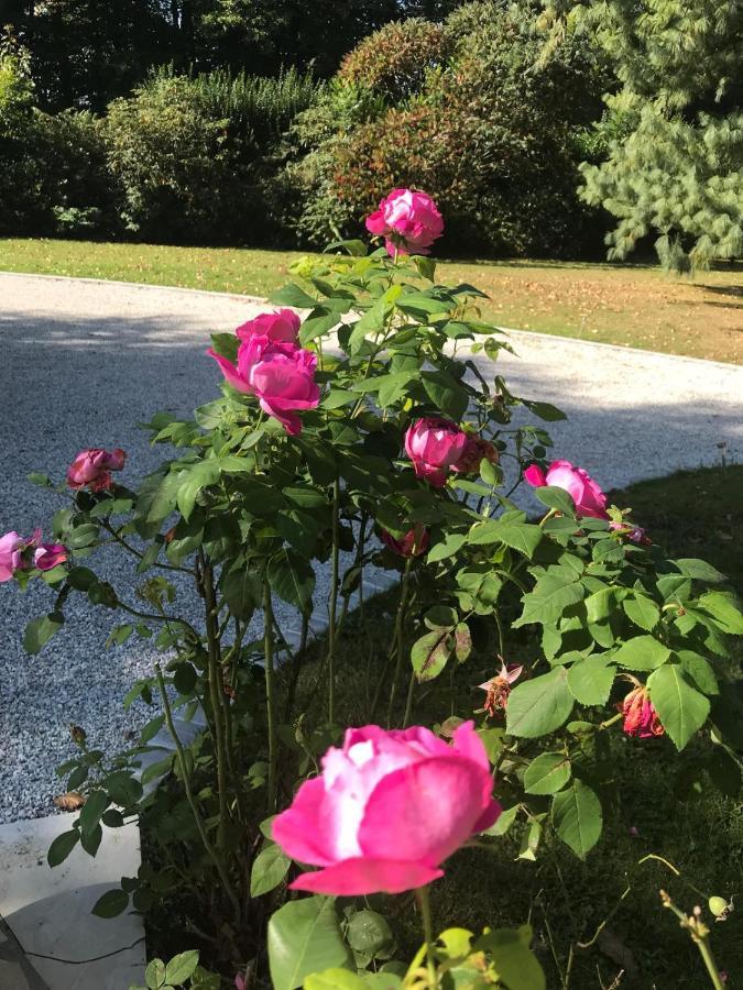 Le Faouët Crown Roads B&B 외부 사진