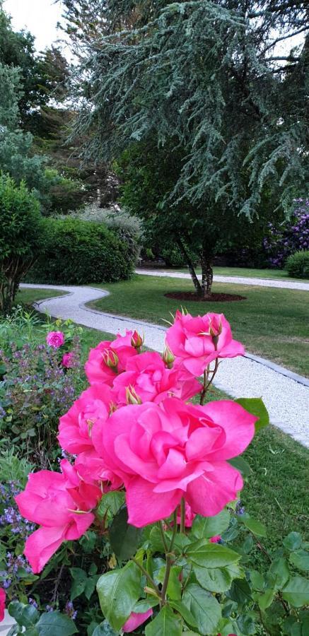 Le Faouët Crown Roads B&B 외부 사진